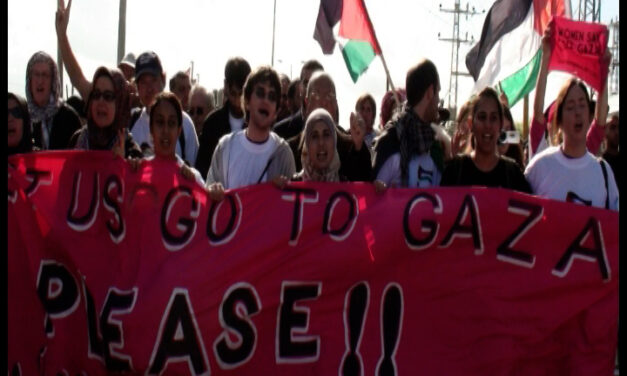 « Mars pour Gaza, droit aux luttes ! »